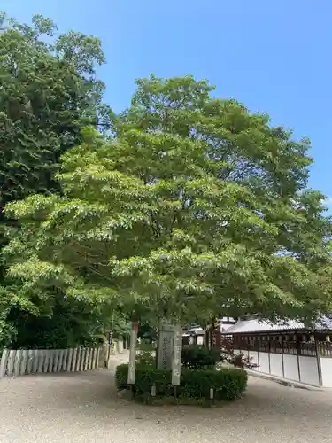 沙沙貴神社(滋賀県)