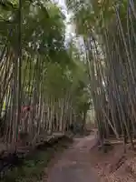 山神神社の周辺