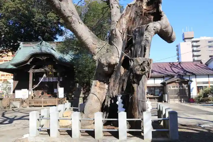 阿邪訶根神社の自然