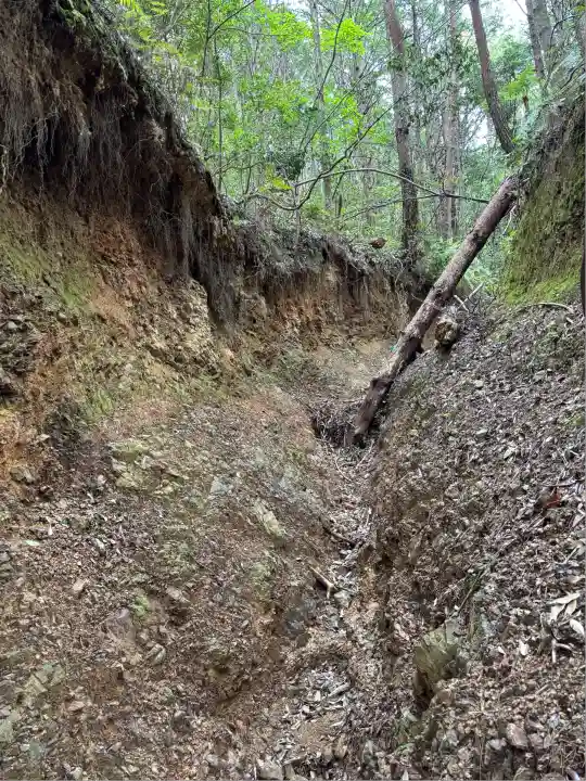 奥磐戸神社(小國神社奥宮)(静岡県)