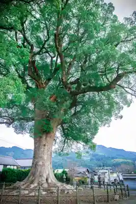 津江神社(福岡県)