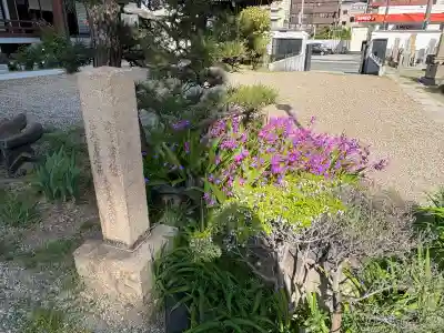 専念寺(大阪府)