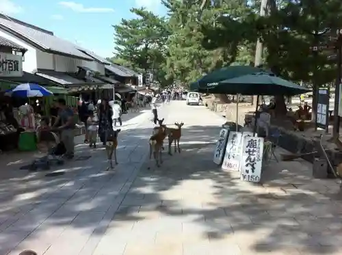 東大寺の建物その他