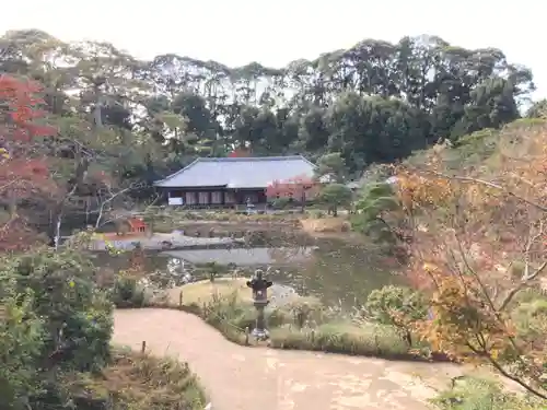 浄瑠璃寺の庭園