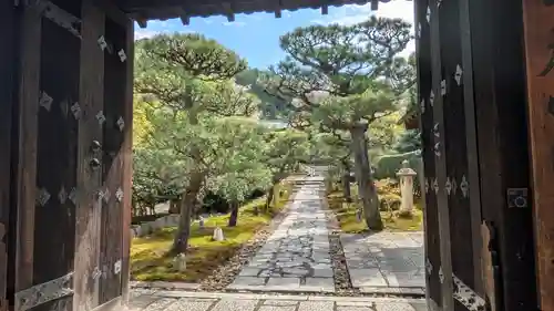 圓光寺(京都府)