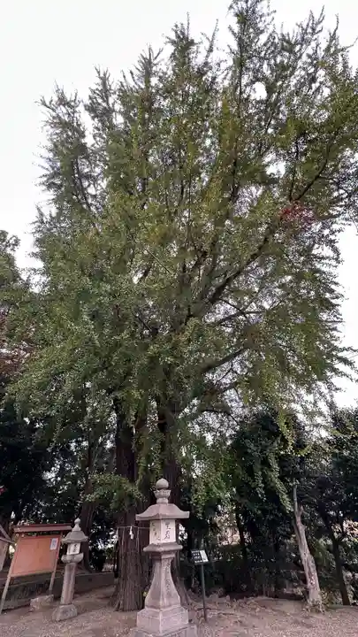 三栖神社(京都府)