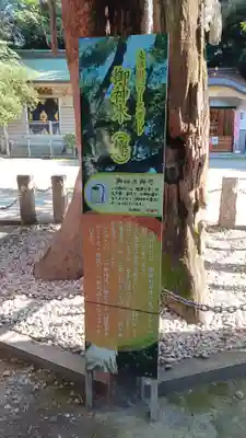 新田神社(東京都)