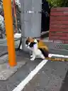 勘太ママさんのプロフィール画像