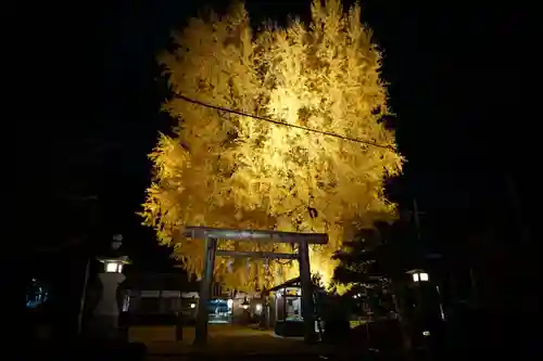 丹生酒殿神社の自然