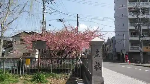 晴明神社の自然