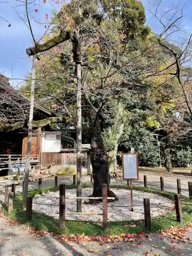 靖國神社(東京都)
