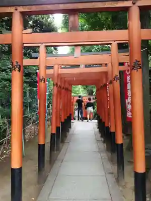 花園稲荷神社の鳥居