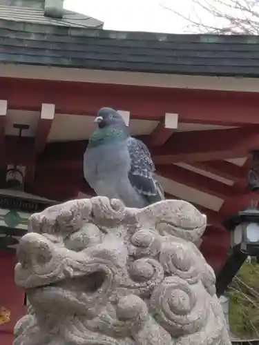 柴又八幡神社(東京都)