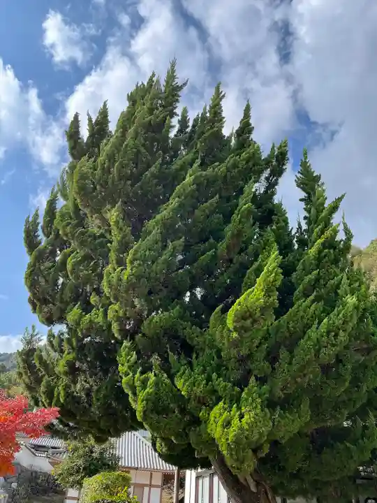 永興寺(山口県)