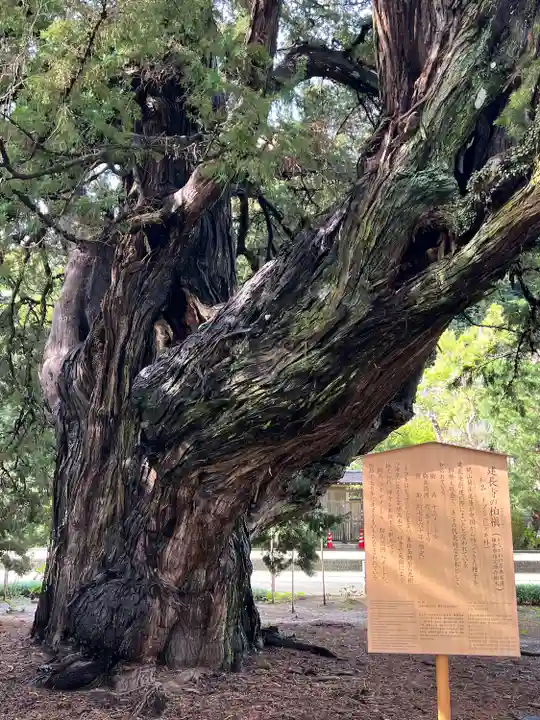建長寺(神奈川県)
