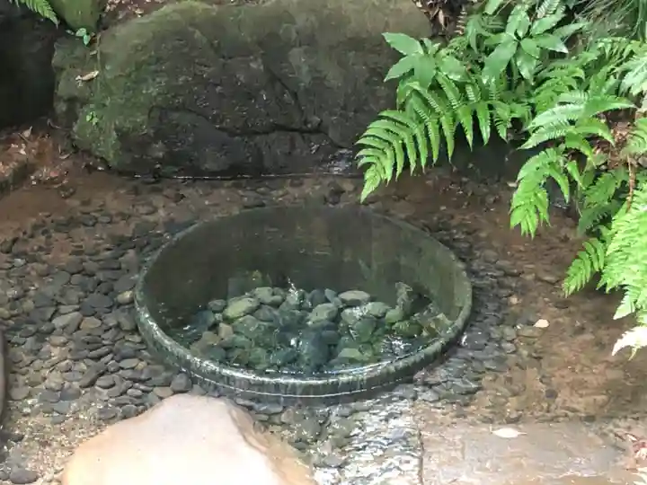 明治神宮(東京都)