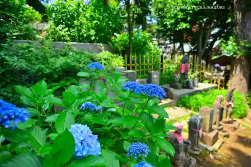 妙楽寺(神奈川県)