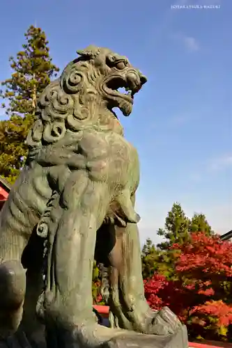 武蔵御嶽神社の狛犬