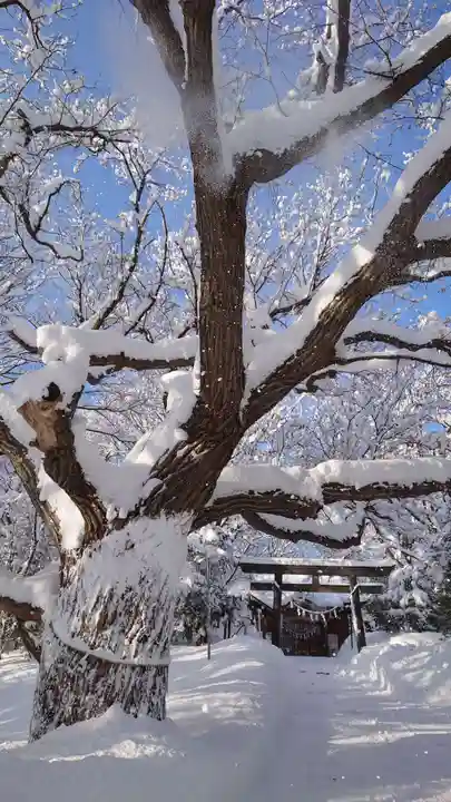 相馬神社(北海道)