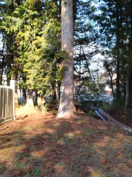 川崎神明社(宮城県)