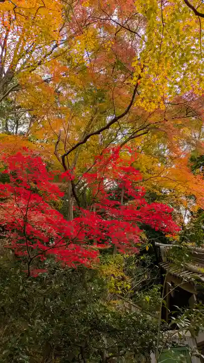 長楽寺(京都府)