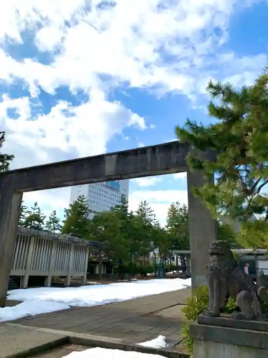 福井神社の鳥居