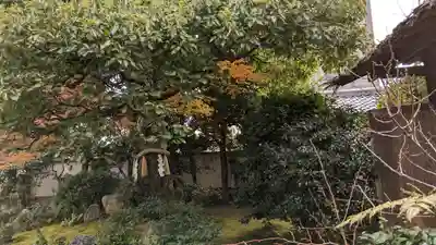 慈受院門跡(京都府)