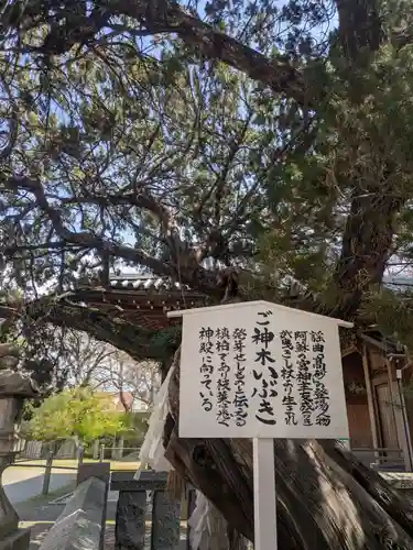 高砂神社(兵庫県)