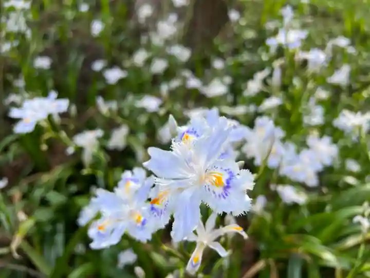 大宮温泉神社(栃木県)