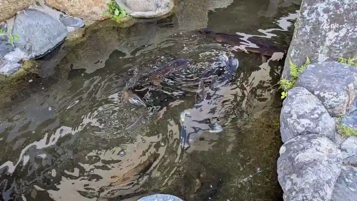 大法寺(愛媛県)