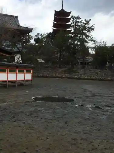 厳島神社の自然