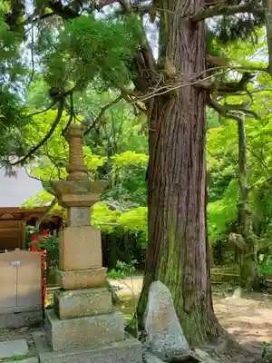 太山寺の塔