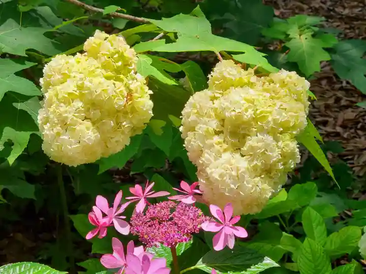 筥崎宮(福岡県)