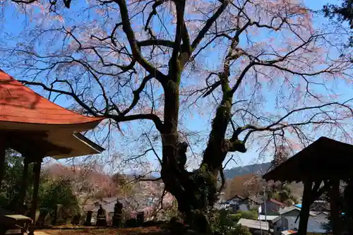 荒井馬頭観音堂の景色
