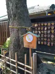 薬師神社の絵馬