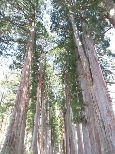 戸隠神社奥社(長野県)