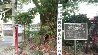 音無神社の自然