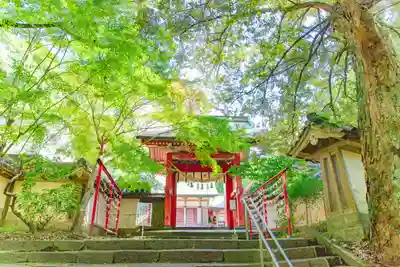柞原八幡宮(大分県)