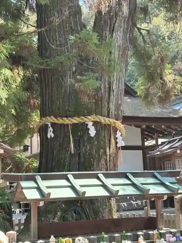 大神神社の{uncategorized: "未分類", other: "その他", undefined: "問題あり", building: "その他建物", grave: "お墓", sacred_gate: "鳥居", guardian: "狛犬", statue: "像", buddha: "仏像", history: "歴史", nature: "自然", garden: "庭園", animal: "動物", pagoda: "塔", temizu: "手水舎", mountain_gate: "山門・神門", sanctuary: "本殿・本堂", subordinate: "末社・摂社", art: "芸術", scenery: "景色", jizo: "地蔵", ema: "絵馬", goshuin: "御朱印", omikuji: "おみくじ", items: "授与品その他", amulet: "お守り", goshuincho: "御朱印帳", eats: "食事", festival: "お祭り", votive_dance: "神楽", shichigosan: "七五三参", wedding: "結婚式", experience: "体験その他", initially: "初詣", around: "周辺", anti_infection: "感染症対策"}