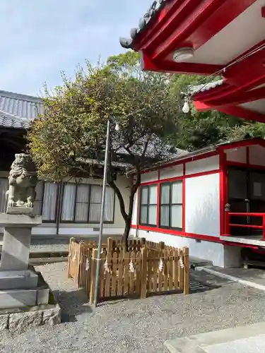 米之宮浅間神社の自然