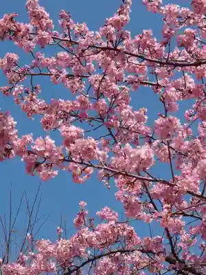 宗仲寺(神奈川県)