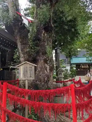 三輪神社(愛知県)