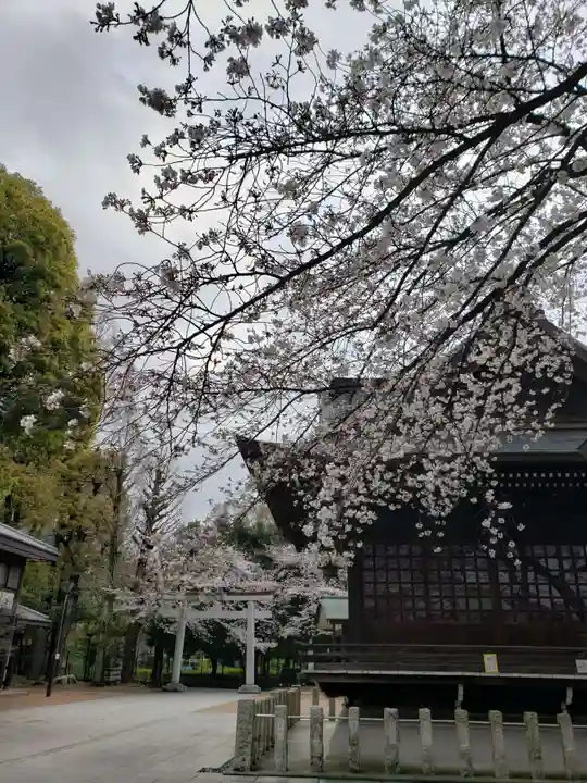 熊野神社(東京都)