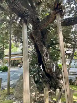 金王八幡宮(東京都)