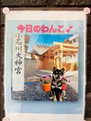 【閉業】小石川大神宮(東京都)