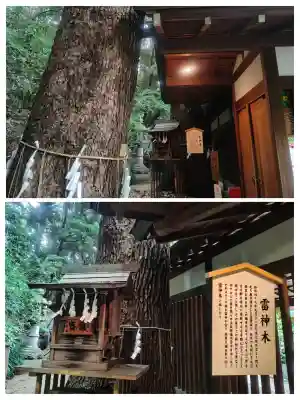 乃木神社(東京都)