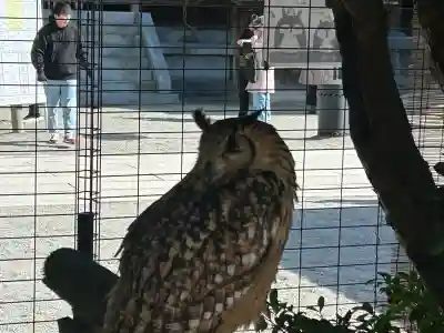 宮地嶽神社の{uncategorized: "未分類", other: "その他", undefined: "問題あり", building: "その他建物", grave: "お墓", sacred_gate: "鳥居", guardian: "狛犬", statue: "像", buddha: "仏像", history: "歴史", nature: "自然", garden: "庭園", animal: "動物", pagoda: "塔", temizu: "手水舎", mountain_gate: "山門・神門", sanctuary: "本殿・本堂", subordinate: "末社・摂社", art: "芸術", scenery: "景色", jizo: "地蔵", ema: "絵馬", goshuin: "御朱印", omikuji: "おみくじ", items: "授与品その他", amulet: "お守り", goshuincho: "御朱印帳", eats: "食事", festival: "お祭り", votive_dance: "神楽", shichigosan: "七五三参", wedding: "結婚式", experience: "体験その他", initially: "初詣", around: "周辺", anti_infection: "感染症対策"}
