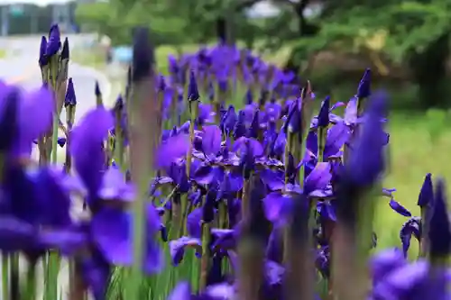 高司神社〜むすびの神の鎮まる社〜の庭園