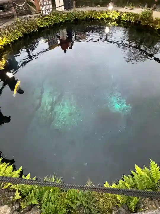 淺間神社(忍野八海)(山梨県)
