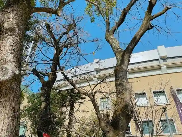 素盞嗚神社(兵庫県)
